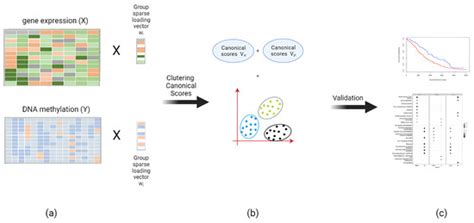 Elucidating Cancer Subtypes By Using The Relationship Between DNA