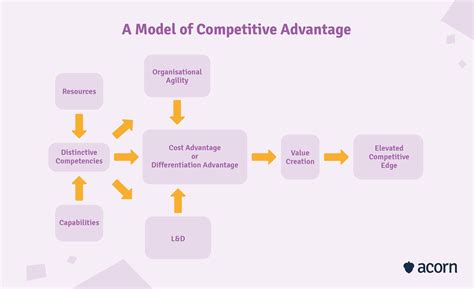 Competency Vs Capability Whats The Difference Acorn