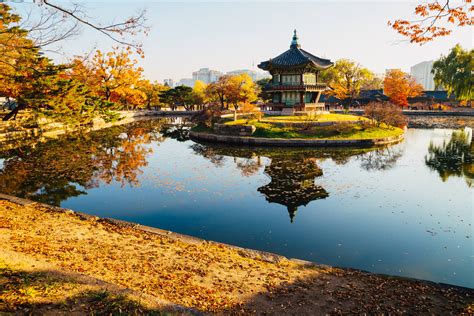 Panduan Menentukan Waktu Terbaik Mengunjungi Korea Selatan di Musim ...