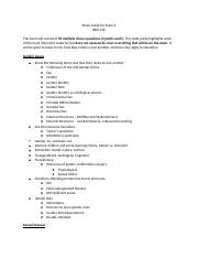 Study Guide For Exam Docx Study Guide For Exam Bbh The Exam