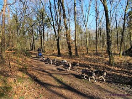 19 Wandelen In Helden