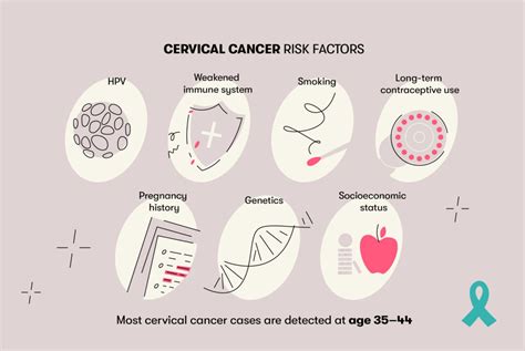 Cervical Cancer Risk Factors What You Need To Know