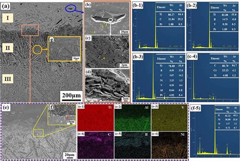 E Microstructure At The Cross Section Of The Sample A Om Image B