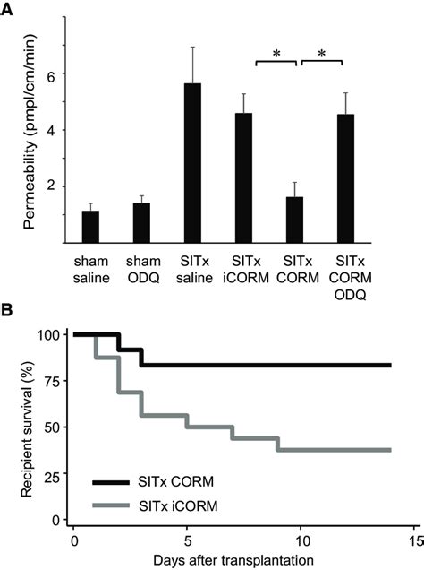 Carbon Monoxide Releasing Molecule 3 CORM 3 Improves Graft