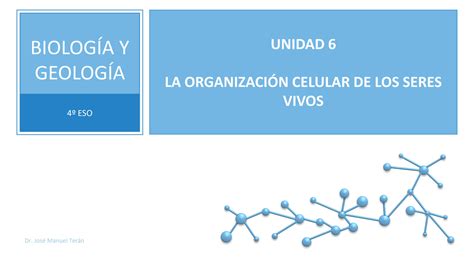 SOLUTION 4 Eso Unidad 06 La Organizaci N Celular De Los Seres Vivos 1