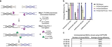 Characterization Of Various Genomic DNA Digestion DNA Assembly