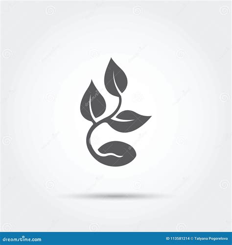 Seedling Process Seed Icon Silhouette Vector Illustration Stock