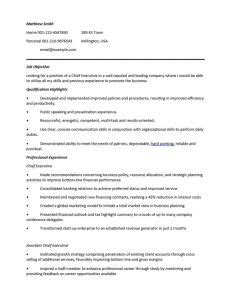 24 Award Winning CEO Resume Templates Wisestep