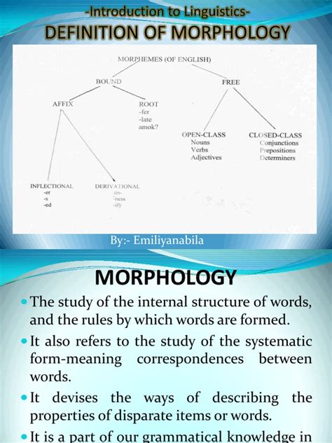 morphology