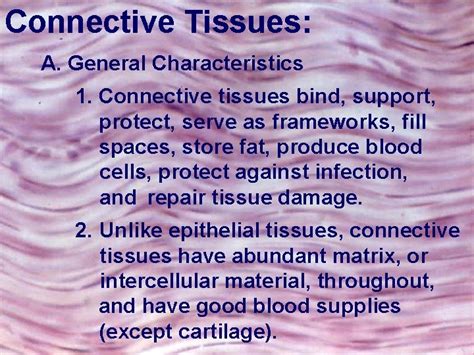 Tissues Chapter 5 Connective Tissues A General Characteristics