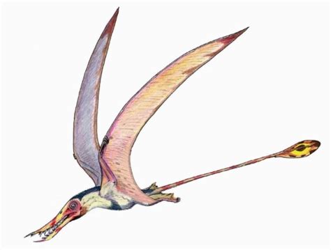 Flying Dinosaurs Types