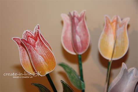 Deko Tulpe Tulpengr E Timeless Tulips