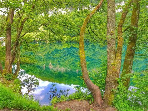 Ozero Photograph by Alexander Kryvulko - Fine Art America