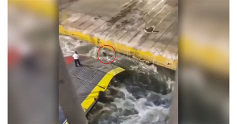 Екипаж на кораб избута в морето край Пирея закъснял пътник и той умря ...