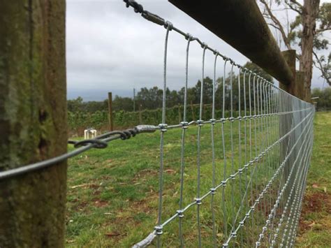 Is There an “Ultimate” Farm Fence? - Tim Thompson