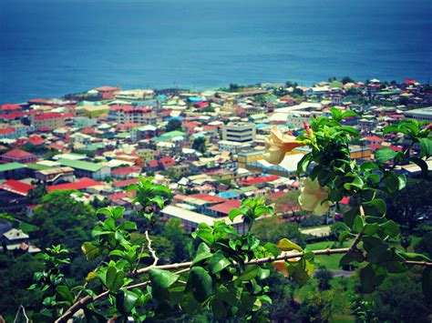 Puerto Rico & Dominica: Day 5 | My Beautiful Adventures