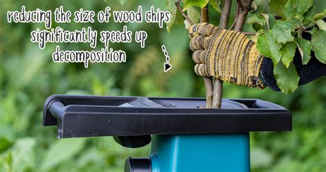 Composting Wood Chips (Quick & Easy!)