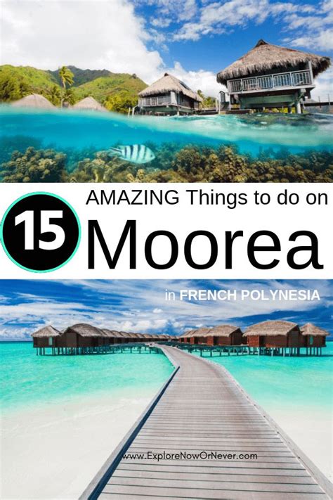 Island Vibes 17 Epic Things To Do In Moorea Viagens Austrália Países