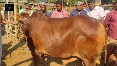 আজ ২৭ নভেম্বর চট্টগ্রামের খামারী হাটে ও গ্রামের বাড়িতে বাড়িতে কি