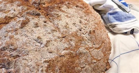 Urkorn Brot Ii Ein Emmer Weizenvollkorn Mischbrot