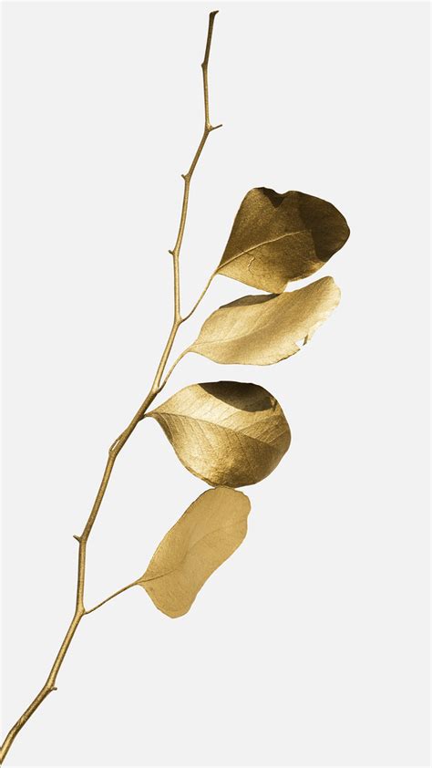 Eucalyptus Round Leaves Painted In Gold Premium PNG Sticker