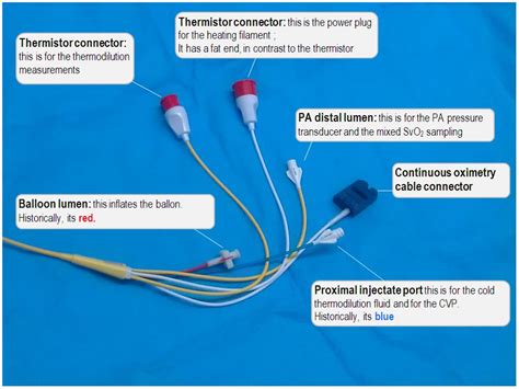 Pa Catheter Tracing