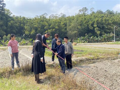 【践行初心使命 助力乡村振兴】驻龙口镇粉洞村第一书记袁邦松工作纪实