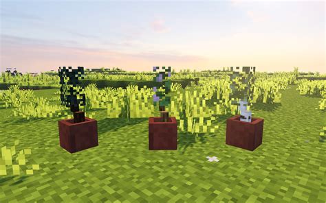 Minecraft Bonsai Minecraft Texture Pack