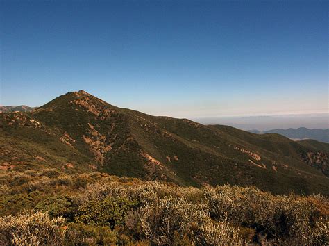 Chief Peak California Peakery