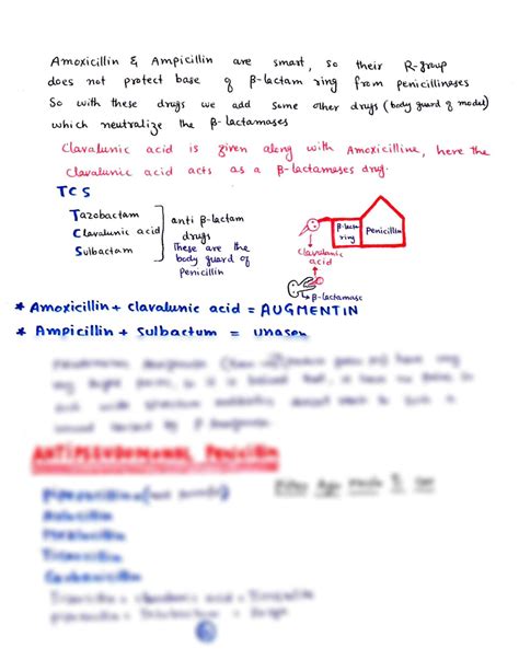 SOLUTION Antibiotics Drugs From Dr Najeeb Lectures Studypool