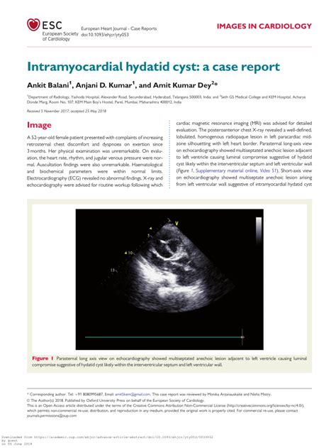 PDF Intramyocardial Hydatid Cyst A Case Report