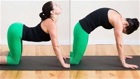 Improve Posture And Spinal Health With Yogas Cat Cow Stretch Or