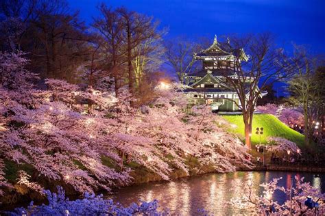 5 Things To Know About Cherry Blossom Festivals In Japan - Fravel