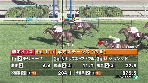 ワケガワカラナイヨ、地方競馬デビュー 3馬身差をつけて初勝利 156193805