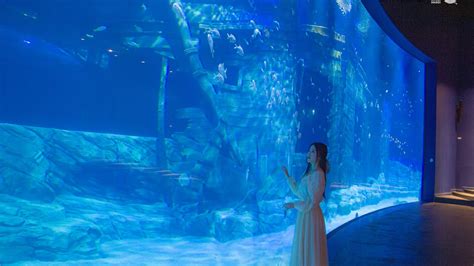 Lotte World Aquarium | Save upto 15% OFF | Vietnam - Thrillark