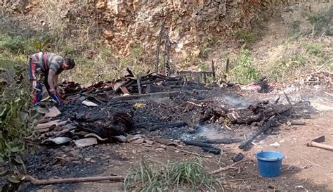 Kandang Terbakar Di Gunungkidul Ekor Kambing Terpanggang Hidup Hidup