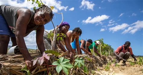 Bienestar social una prioridad para la ONU en América Latina y el