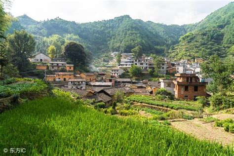 日本真实的农村，和中国农村不一样，比城市生活还舒适 每日头条