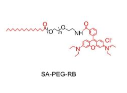 Sa Peg Rb Peg Rhodamine Udp Mof