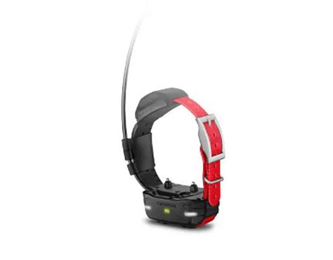 Garmin Tt15 Mini Dog Tracking And Training Devicecollar