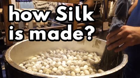 Where Does Silk Come From And How Is It Produced At Casey Hall Blog
