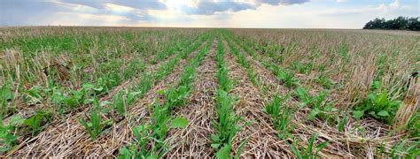 Using sustainable practices on soybean farms - Wisconsin Soybean Program