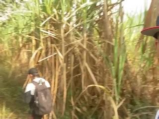 Freeballing Bulge Pornhub Gay