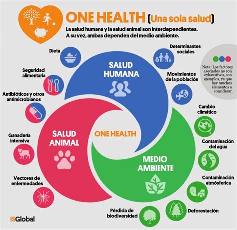 Gráfico Explicativo Sobre El Enfoque Una Salud Ospat