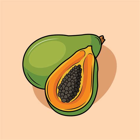 Illustration of a Papaya 11049189 Vector Art at Vecteezy