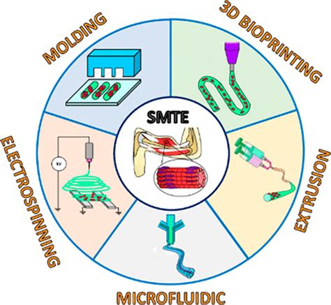 Acs Biomaterials Science Engineering X Mol