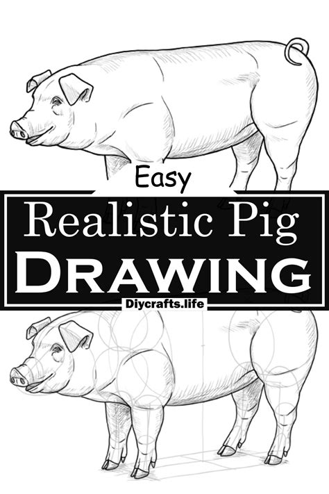 26 Easy Pig Drawing Ideas Step By Step Guide Diy Crafts