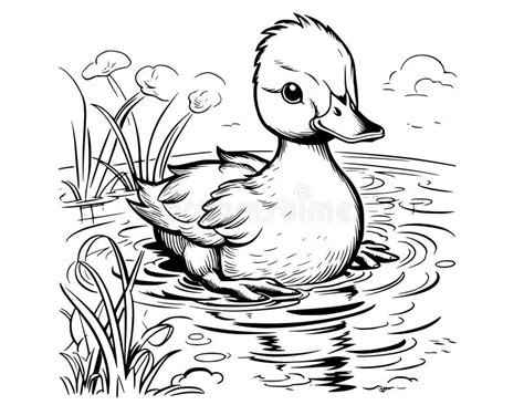 Cute Duck Coloring Pages for Kids Stock Vector - Illustration of duckling, printable: 307602630