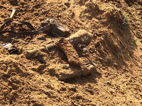 Human Skeletal Remains And Ltte Uniform Found In Palai Tamil Guardian