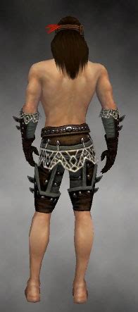 Gallery Of Male Ranger Elite Kurzick Armor Guild Wars Wiki GWW